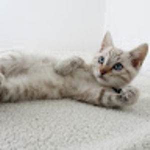 Meet your Posher, Emmanuel